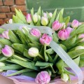 Kolorowe tulipany.