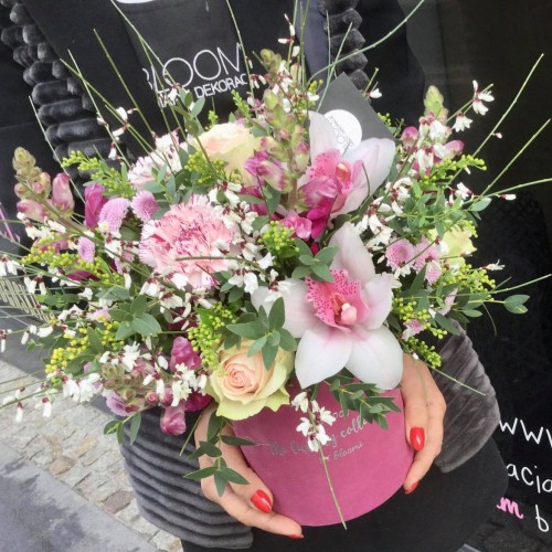 KRÓLOWA KWIATÓW Welurowy flowerbox ze storczykami 
