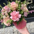 KORALOWE KORALE welurowy flowerbox S