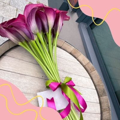 Kolor roku 2023 według Pantone - Viva Magenta - Poznaj trendy florystyczne!
