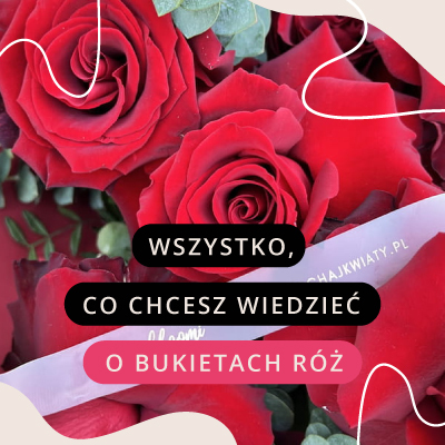 Wszystko, co chcesz wiedzieć o bukietach róż — Pytania i odpowiedzi