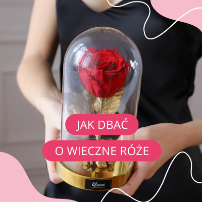 Jak dbać o wieczne róże?
