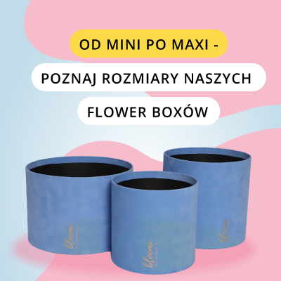 Flower box Bloomi — poznaj rozmiary naszych pudełek kwiatowych